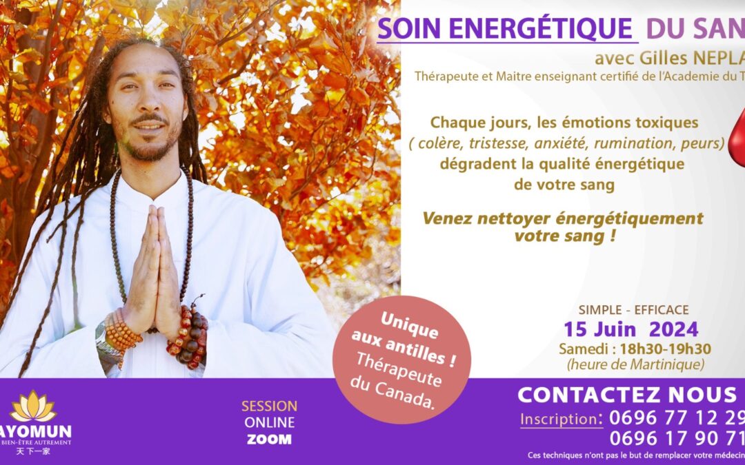 Zoom Soin Énergétique Du Sang avec Gilles Néplaz
