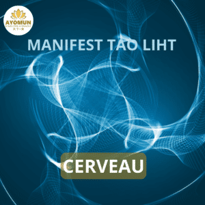 Cerveau Manifest Tao Light