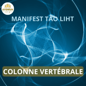 Colonne vertébrale Manifest Tao Light