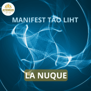 La Nuque Manifest Tao Light