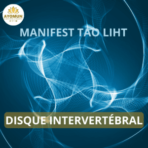 Disque intervertébral Manifest Tao Light