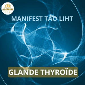 Glande Thyroïde Manifest Tao Light