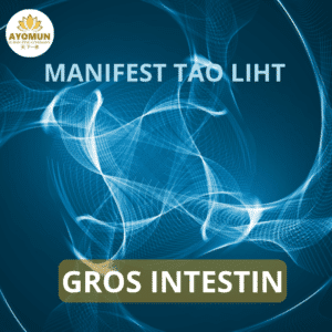 Gros Intestin Manifest Tao Light