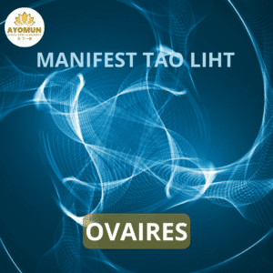 Ovaires Manifest Tao Light
