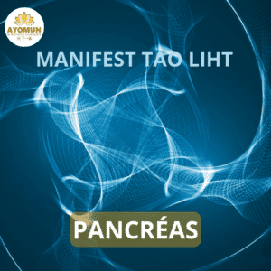 Pancréas Manifest Tao Light