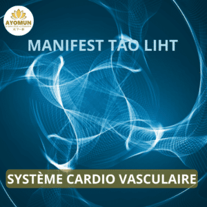 Système cardio vasculaire Manifest Tao Light
