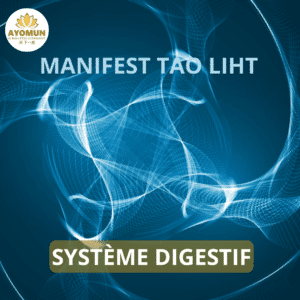 Système Digestif Manifest Tao Light