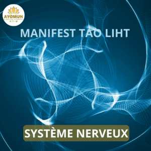 Système nerveux Manifest Tao Light