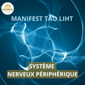 Système nerveux périphérique Manifest Tao Light