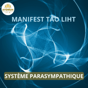 Système Parasympathique Manifest Tao Light