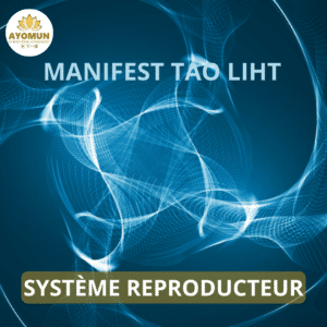 Système Reproducteur Manifest Tao Light