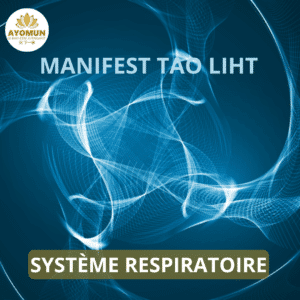 Système Respiratoire Manifest Tao Light