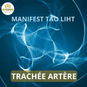 Trachée Artère Manifest Tao Light