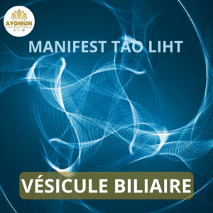 Vésicule Biliaire Tao Light